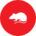 rodent icon