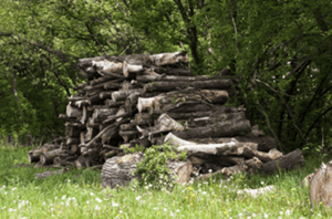 Vent Nest